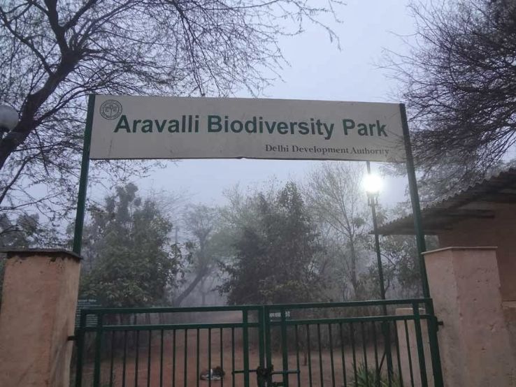 Excursion: Aravalli Biodiversity Park